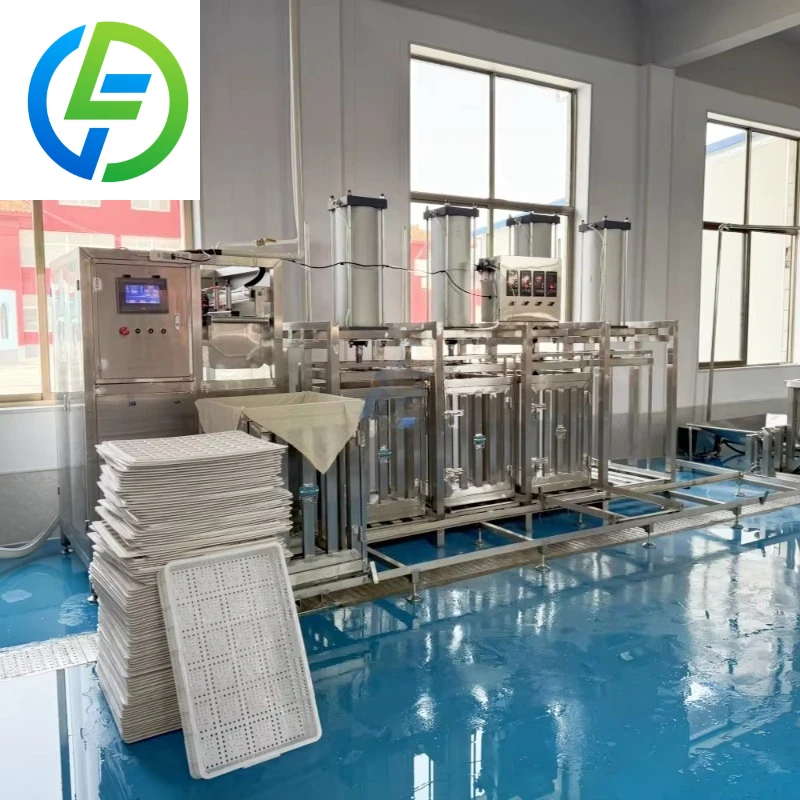 Customized Large Capacity Firm Silken Cheese Tofu Production Line Machine Bean Product Processing Machinery