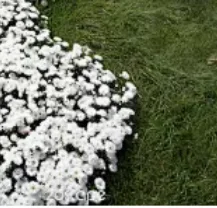 For Toyota Ist 2002… - image