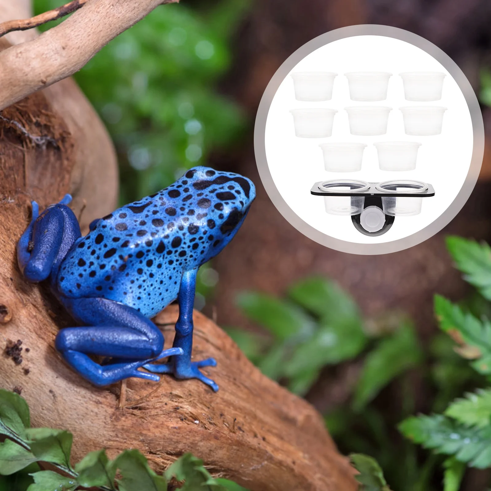 

1 set Reptile Feeder Crawling Pet Supplies Wall Hanging Suction Cup Double Bowl For Lizard Gecko Food Water Basin Escape Proof