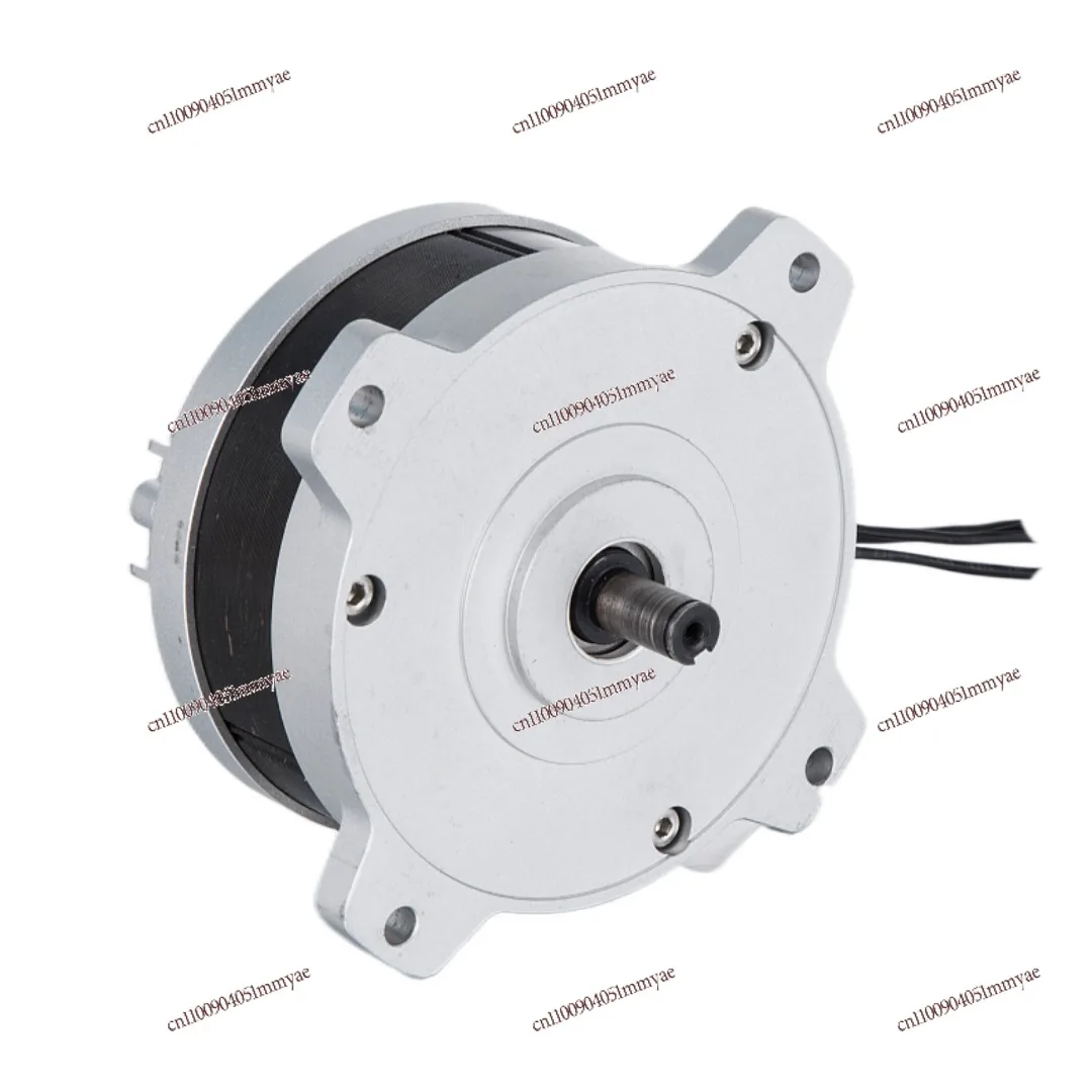 48V 750W Brushless DC Motor 100mm High Power Electric Drive Motor