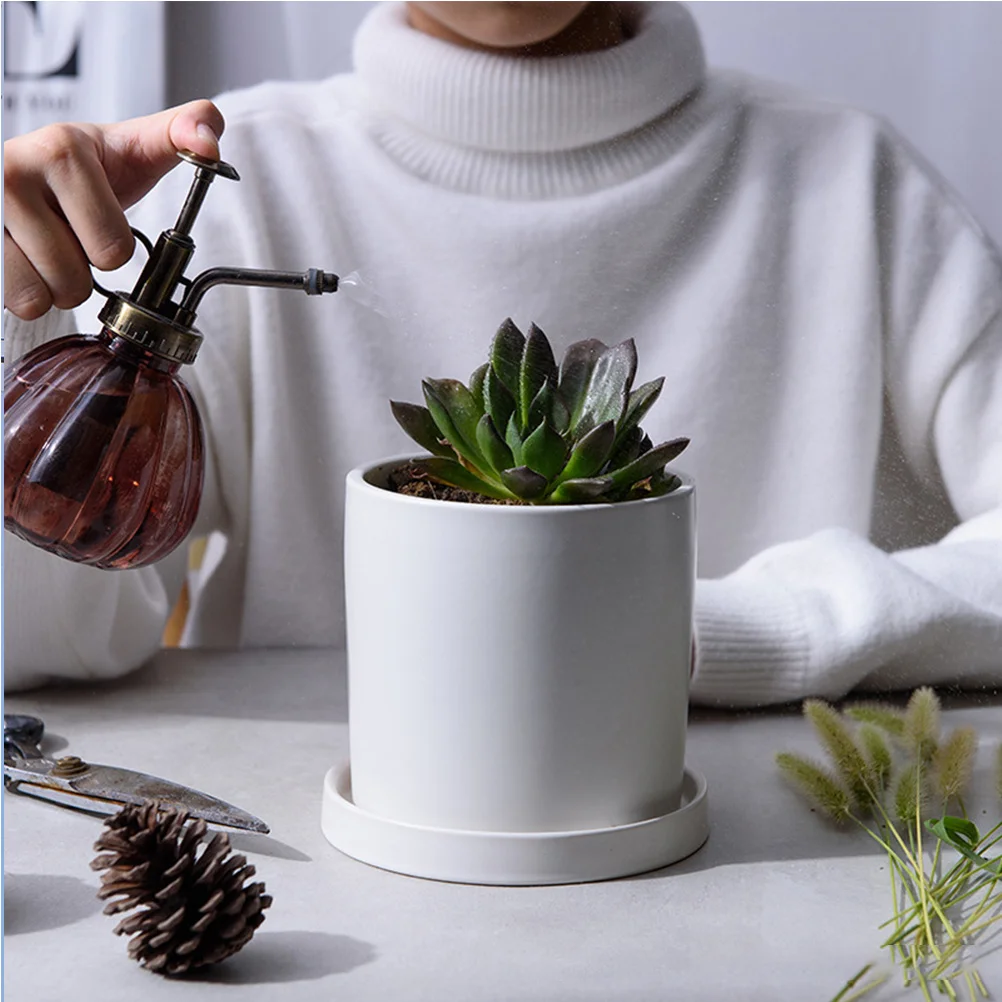 

Small Fleshy Pots Houseplant with Plate Succulent Planter Flower Decoration Mini