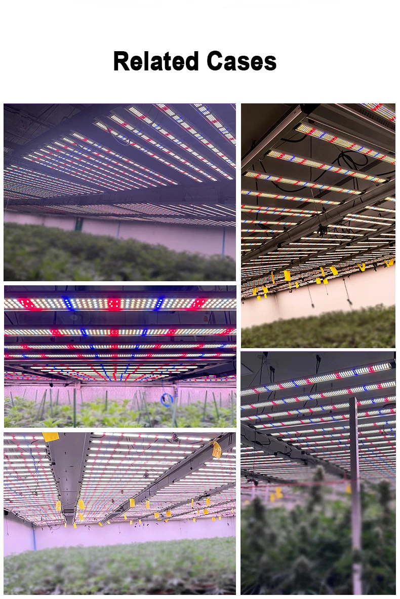 1000 واط ضوء نبات الأخطبوط أدى الطيف الكامل داخلي الزراعة الزراعية ضوء التكميلي 1200 واط ضوء نمو النبات #5