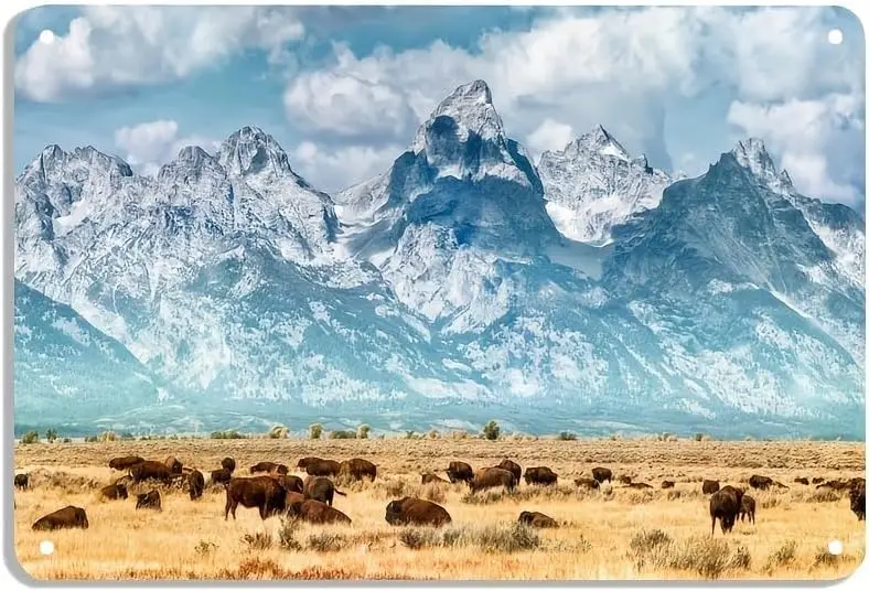 Grand Teton National Park Landscape Retro Metal Tin Sign Poster Wall Decor Modern Artwork Bar Cafe Hall Hotel Home Room Livin