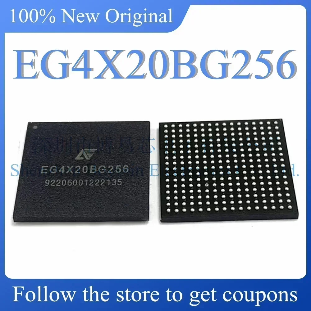 

Standard version EG4X20BG256