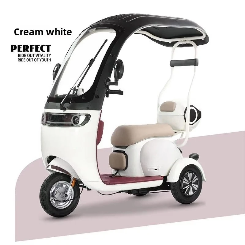 Integrated Battery Casual Electric Tricycle for Adults New Model 48v