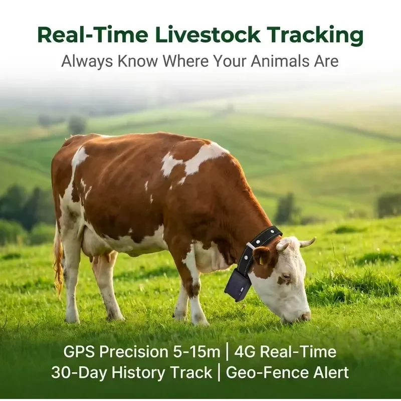 Manufacturer 4G LTE Solar Powered GPS Navigation Livestock Tracker 25000mAh Long Life Battery IP67 Waterproof Real-Time