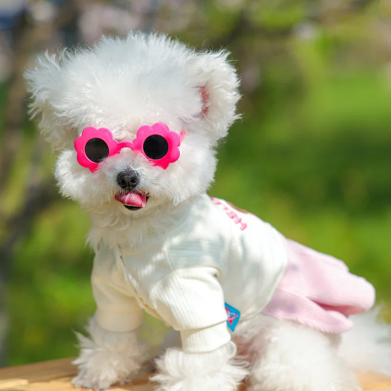 

Pet Dog TUTU Dress Summer Outing Sally Bear Skirt with Red Ellipse Sunglasses, Cute Puppy Girl Fashion Set Accessories