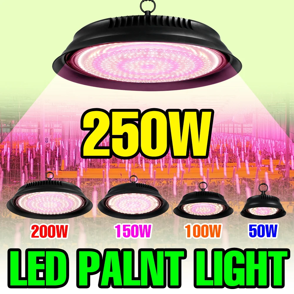 

LED Full Spectrum Grow Light Plant Hydroponics Cultivation Lamp Indoor Greenhouse Tent Tomato Vegetable Growth Box Fill Lighting