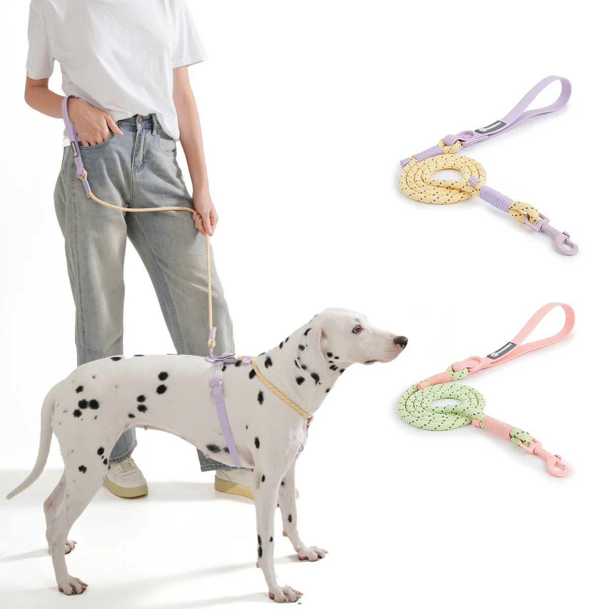 Dog Leash Pet Summer Favour PVC Biothane And Nylon Fashion Lead Rope For small & medium dog walking running Hand-woven belt New