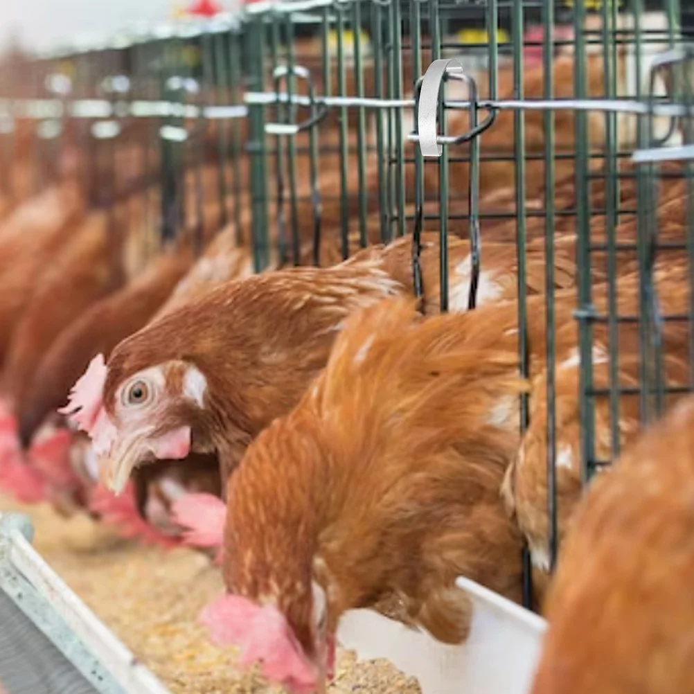 

30Pcs Breeding Cage Door Hooks Steel Durable Creative Practical Household Storage Tool for Chicken Rabbit Bird Cage