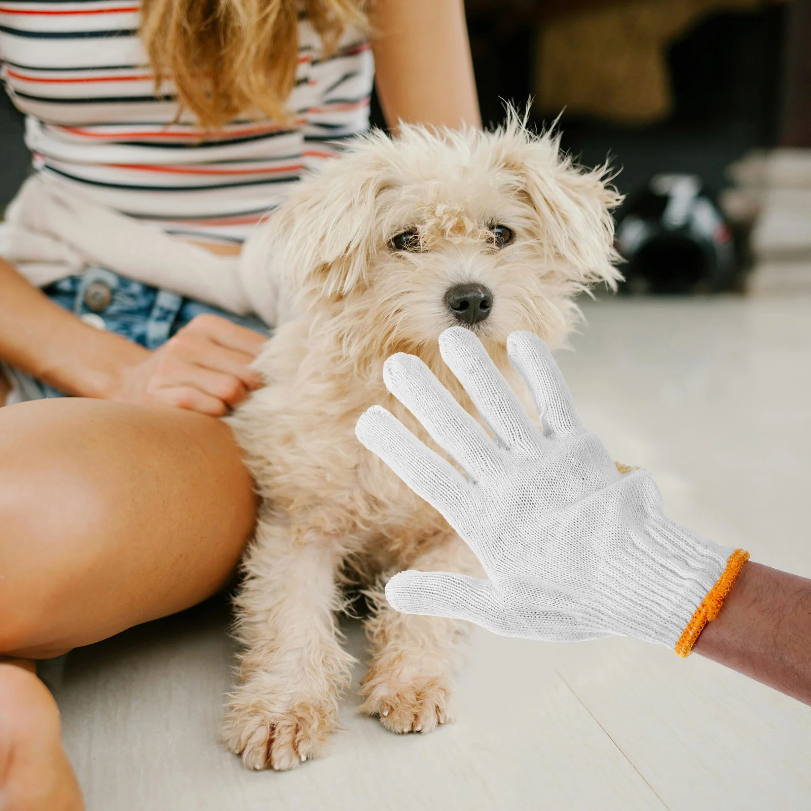 A Pair of Animals Handling Protection Gloves Thicken Anti-Bite Scratch Gardening Wild Animals Protection Gloves(Random Color)