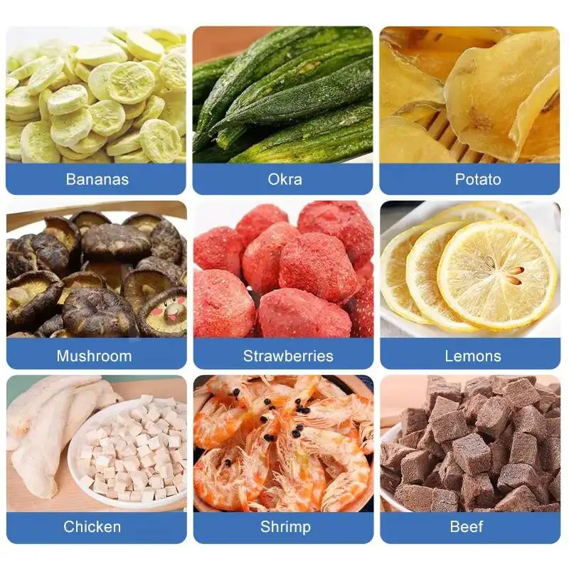 Mini Machine Price Automatic Small Freeze Dryer Drying Equipment For Flower Home Lab