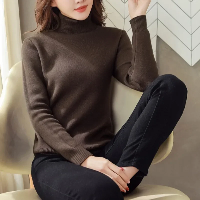 Turtleneck Pullovers Women Thickening Plus Velvet Keep Warm Winter Basic Clothes All-match Comfortable Solid Korean Sweaters