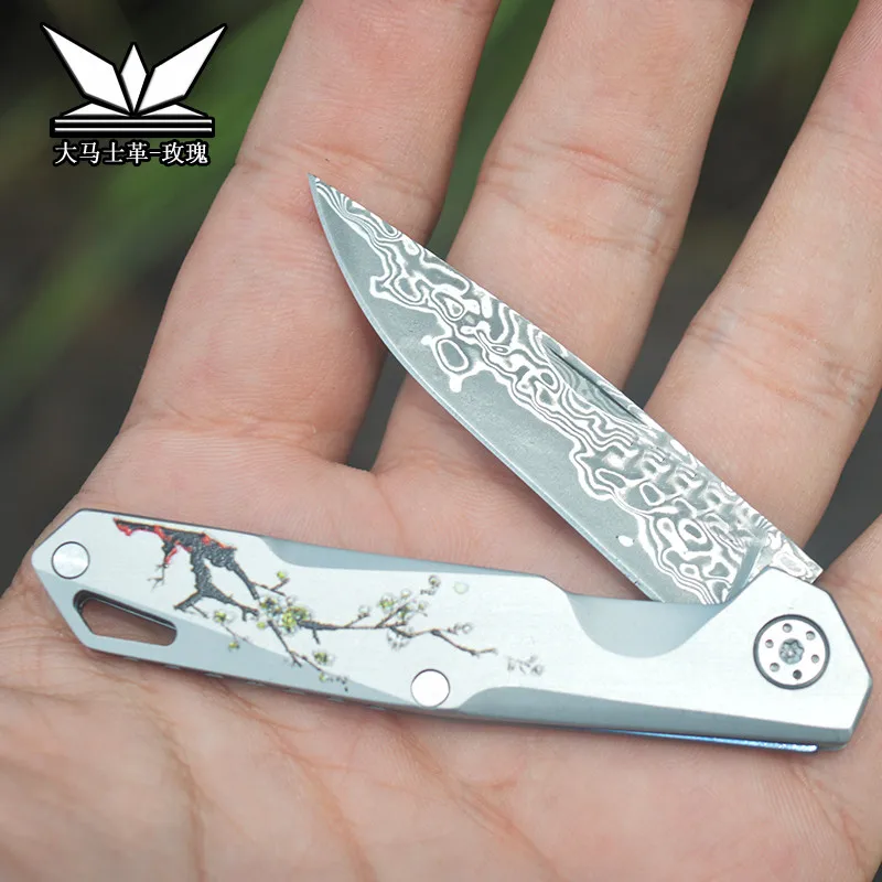 Vg10 Damascus Steel Mini Folding Pocket Keychain Knife with Sheath Surivival Self-defense Neck Knives Camping EDC Multitool