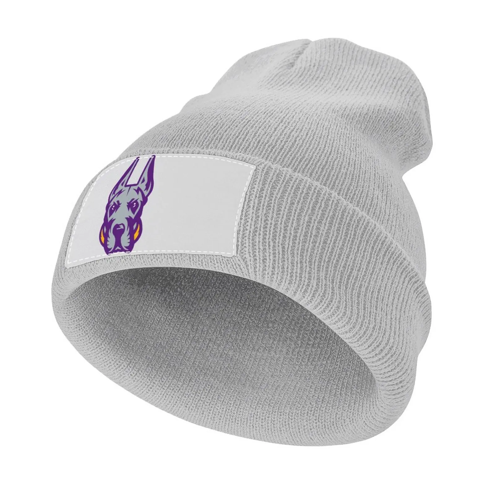 UAlbany Great Dane 2020 Knitted Hat beach hat Mountaineering Rugby Hats Baseball Cap Women Hats Men's