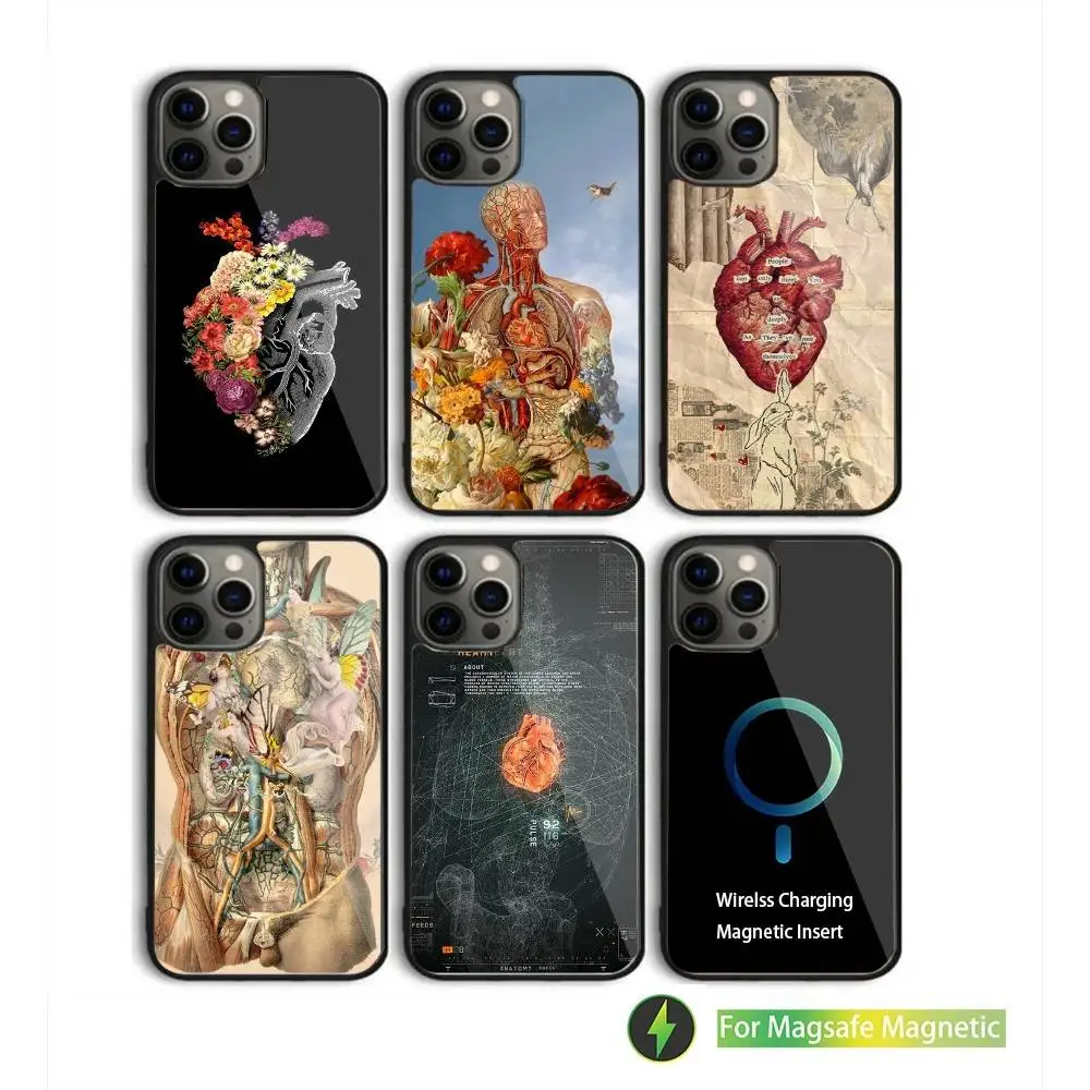 

Medical Human Anatomy Phone Case For iPhone 16,15,14,13,12,11,Pro,Max,Plus,Mini,SE New Magsafe Magnetic Wireless Charging