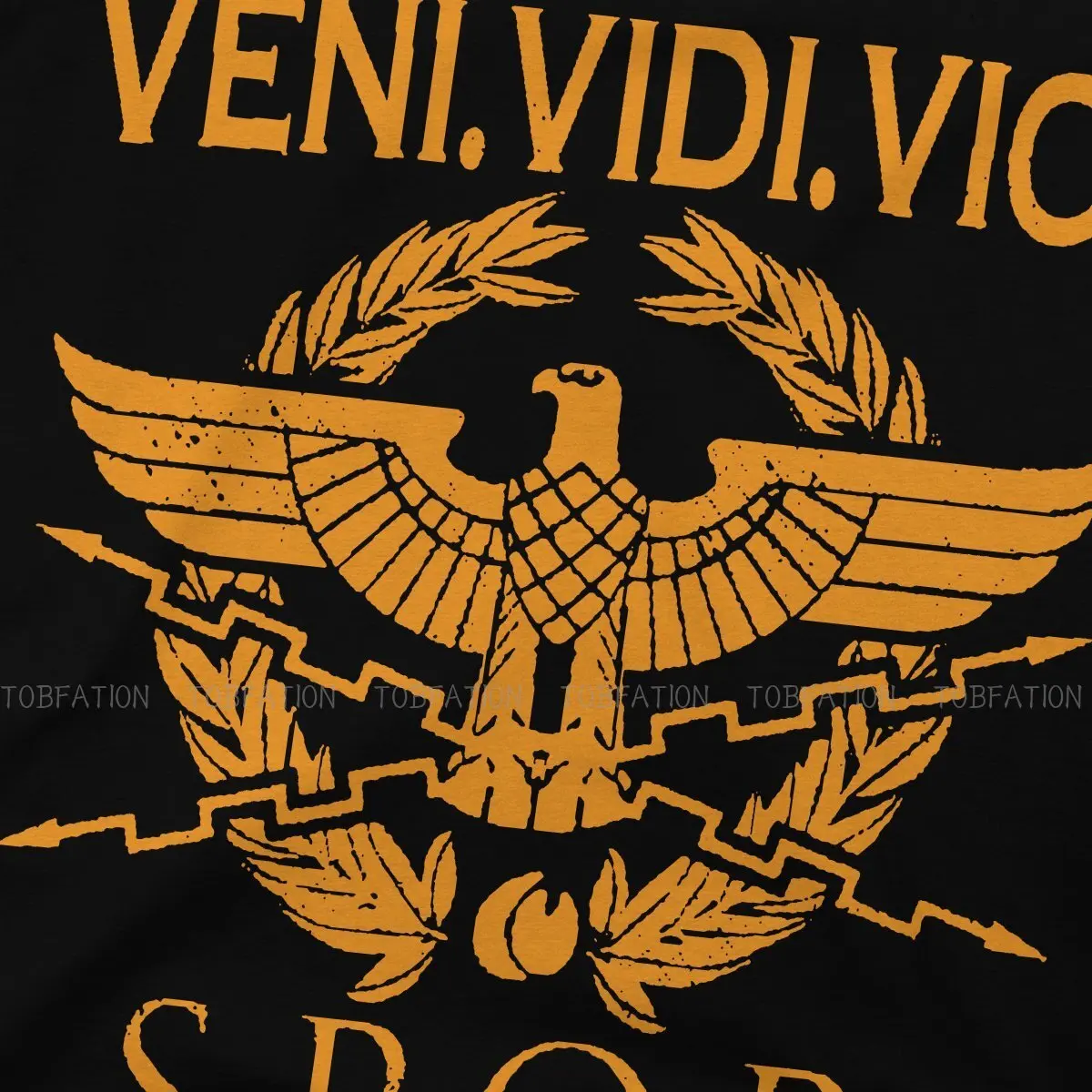 Roman Culture Veni Vidi Vici T Shirt Classic Punk High Quality Tshirt Loose Crewneck Short Sleeve