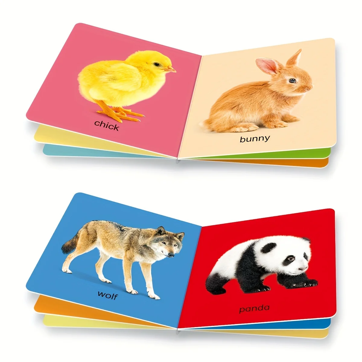 1 box of 10 English Children's Object Recognition and Word Learning Card Books - Gift box set
