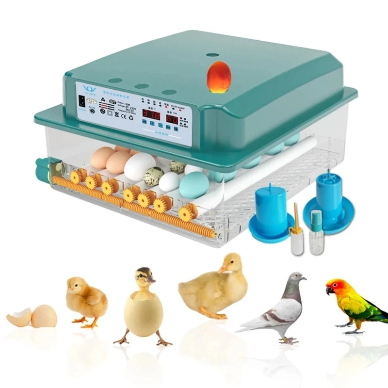 Fully Automatic Brooder Hatchery Machine Incubator Egg Turner Home Incubator Controller Farm Egg Incubator Chickens Bird Egg