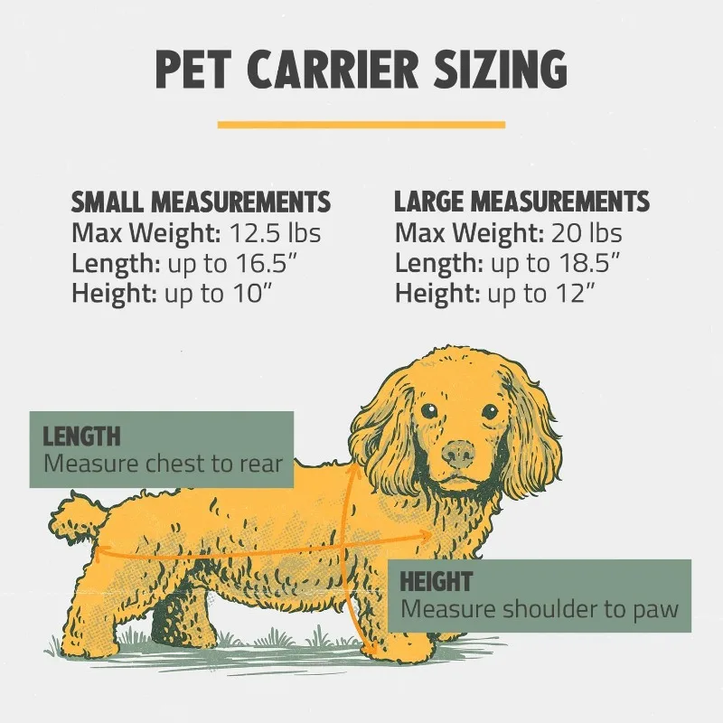 Airline-Compliant Pet Carrier | Includes Leash | Suitable for Pets up to 20lbs