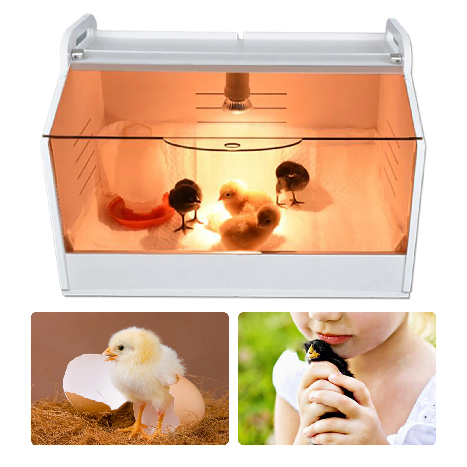 Chick Brooding Box Chicken Breeding Incubator w/ Head Lamp Poultry Reptiles Brood Machine