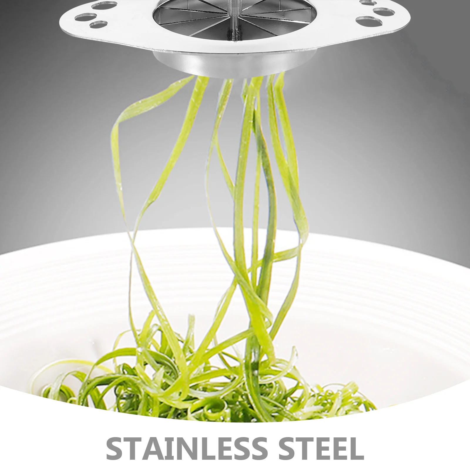 

Portable Scallions Shredder Slicer Kitchen Shred Compact Stainless Steel Vegetable Grater Tool Garlic Onion Cutter for Cooking