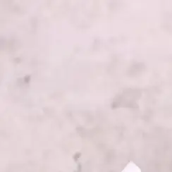 

G23 G24 Тестовый держатель старения лампы с изоляционной крышкой Светодиодный светильник Держатель лампы Преобразователь Винт Патрон лампы Адаптер Основание галогенной лампы