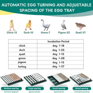 أفضل 6 مبيعات حاضنات أوتوماتيكية مستعملة - رقم 6