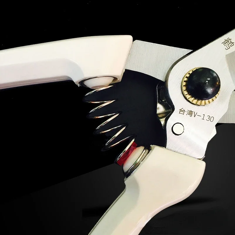 

Обрезка ножниц для сада, фруктовых деревьев, цветов и фруктов. Зеленые инструменты для обрезки садоводства на фруктовых ветках.