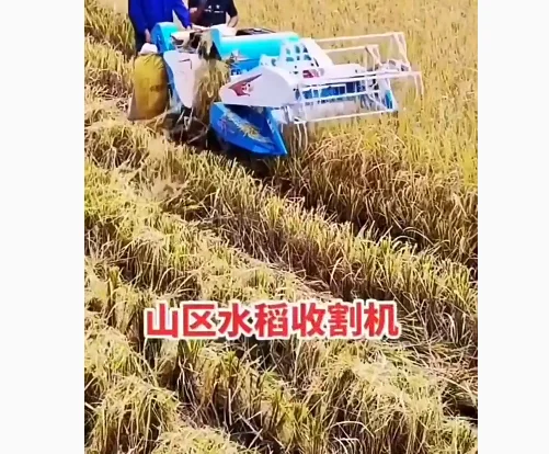 Self-walking Crawler Type Mini Combine Harvester Rubber Track Gear Drive High Productivity Cassava Olive Rice Corn Harvester