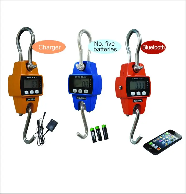 

100Kg 150kg 300kg Digital Bluetooth Scale 100kg Crane Weighing Scale