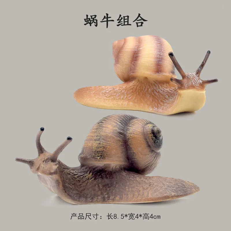 Micro Landscape Puzzle Science Children's Cognitive Snail Model Garden Decoration Snail Statue Simulation Insect