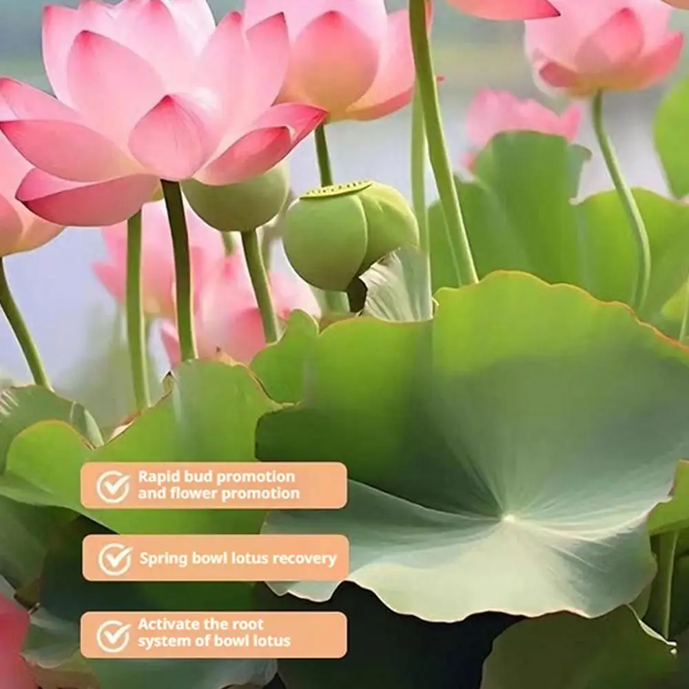 200g Bowl Lotus Explosions Water Special Nutrient Solution Promotes Flowering Fertilizer Hydroponic Fertilizer For Water Lily