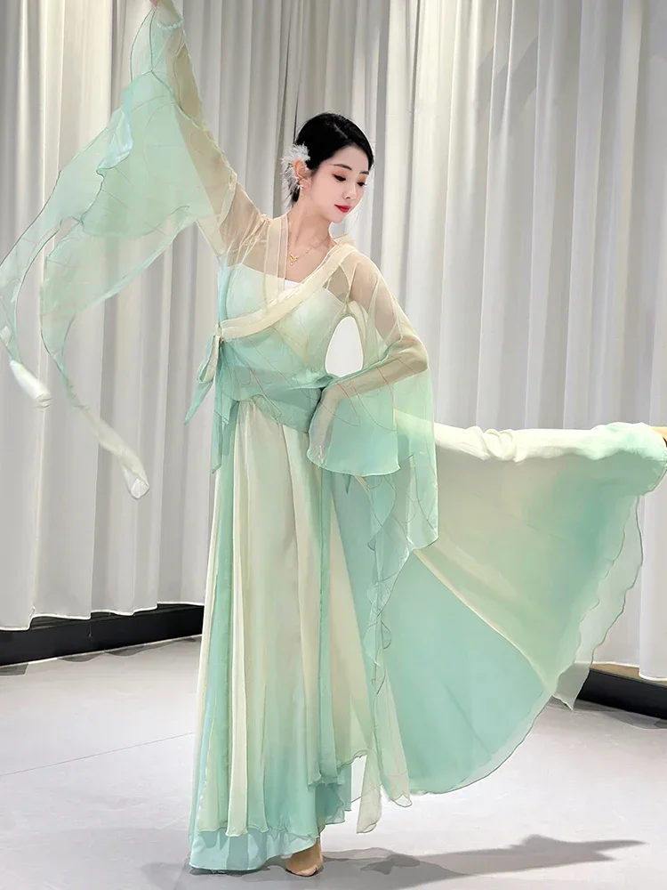 Classical Dance Costume Female Butterfly Dancing Dress Chinese Classic Dance Elegant Mesh Performance Wear