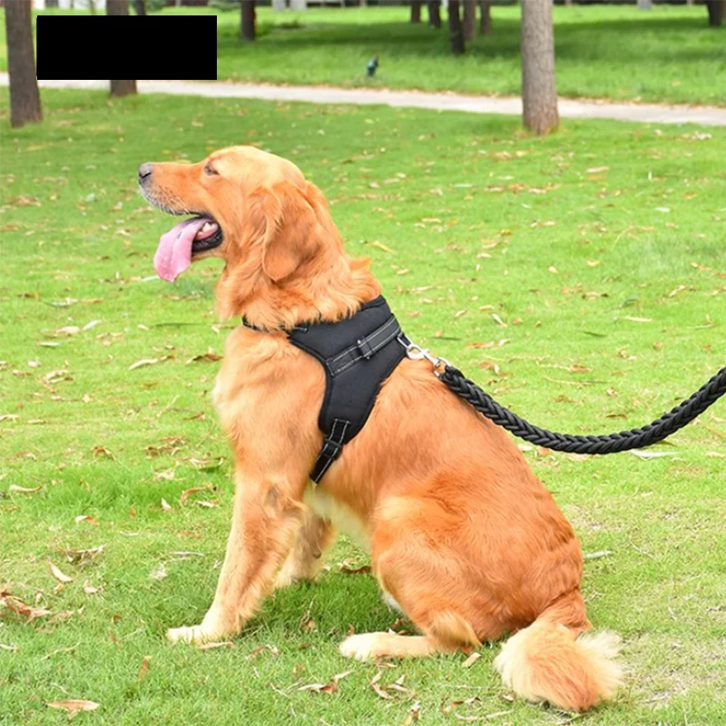 애완견 조절 가능한 하네스, 소형 및 대형견 하네스 조끼, 150cm 강한 개 가죽 끈, 애완 동물 가죽 끈, 반사 가죽 끈, 드래그 풀 견인