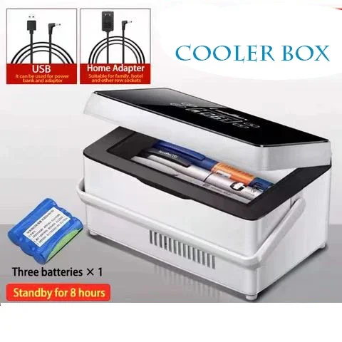 12v 1.5L mini usb refrigerator battery cooler box with portable for insulin