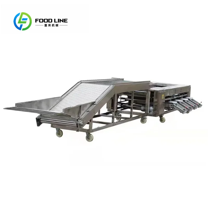 Automatic Vegetable Fruit Sorting Machine Garlic Onion Potato Apple Roller Sorter High Precision Grading Equipment Customized