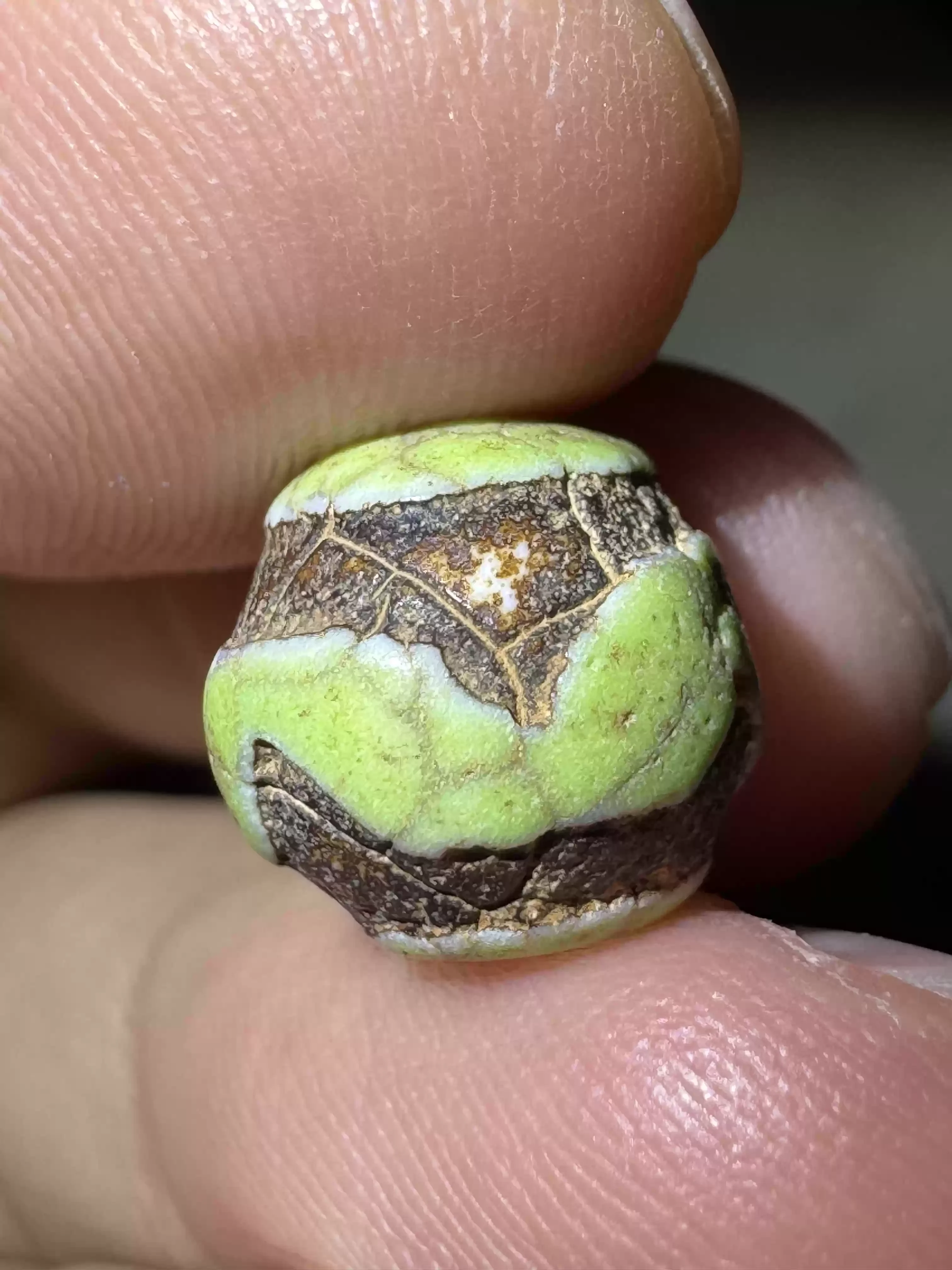 

1 pcs/lot Old material barley dragon scale pattern agate Dzi bead small barrel bead with tiger tooth design Tibetan ethnic style