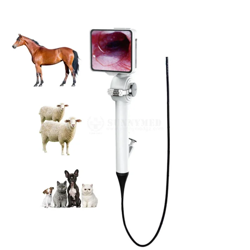 SY-P029-3 veterinary endoscope for animals horse gastroscope 1500mm equine portable endoscope vet endoscope for dogs