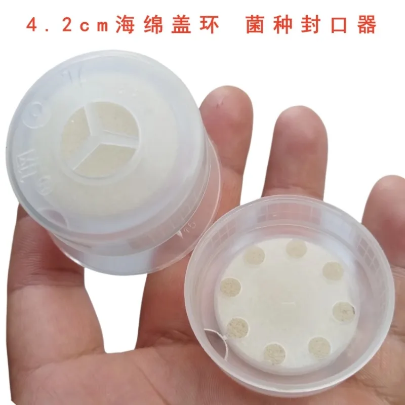 Eetbare paddestoelsponsring 4,2 cm Eetbare paddestoel dubbele ring Spons dubbele ring