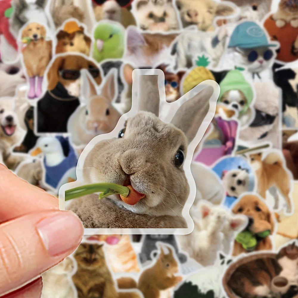 10/50PCS Interesting Animal Gaze Graffiti Stickers Exquisite Fashion Sticker for Computer Notebook Stationery DIY Toys Secret