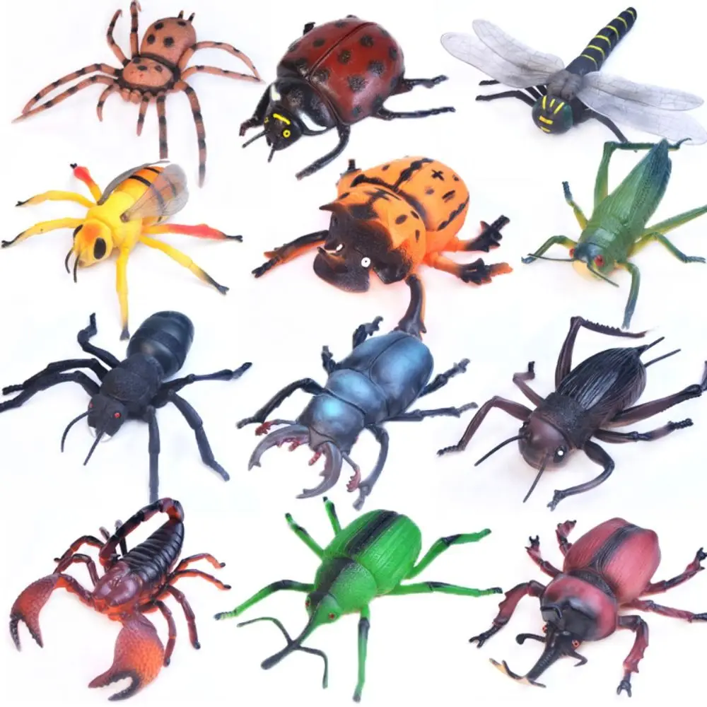 

Spiders Simulated Insect Model Cricket Simulation Simulation Wildlife Model PVC Insect Model Animal Collection