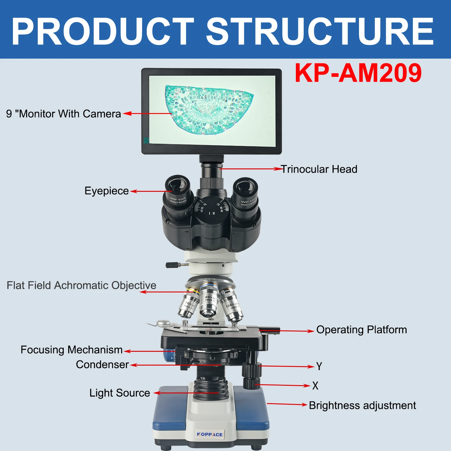 Mikroskop Laboratorium Senyawa - Microscope Compound 40X ulasan dan harga
