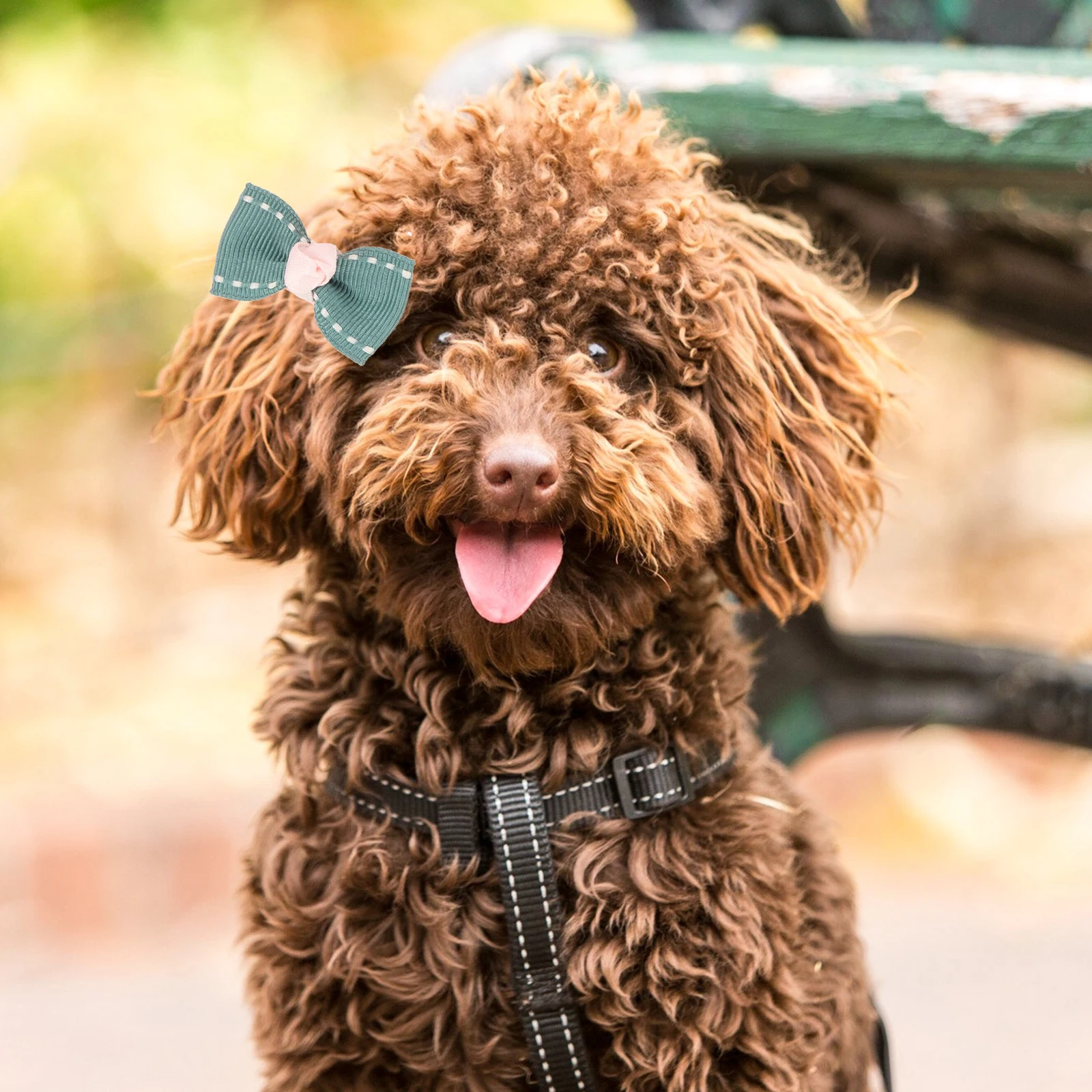 

10pcs Dog Hairpin Cute Puppy Bows Pet Grooming Accessories Small Dogs Cloth Barrettes Hair Clips for Pets Cat Animal