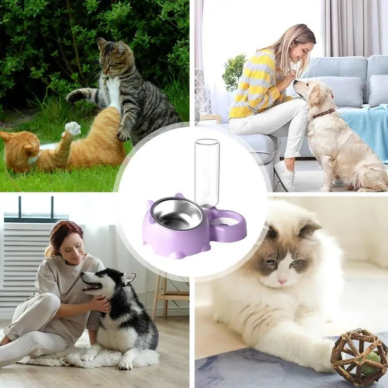 Double Dog Cat Bowls Water and Food Bowl Tilted 16 Degrees Cat Bowls with Automatic Water Bottle Pet Feeder Detachable supplies