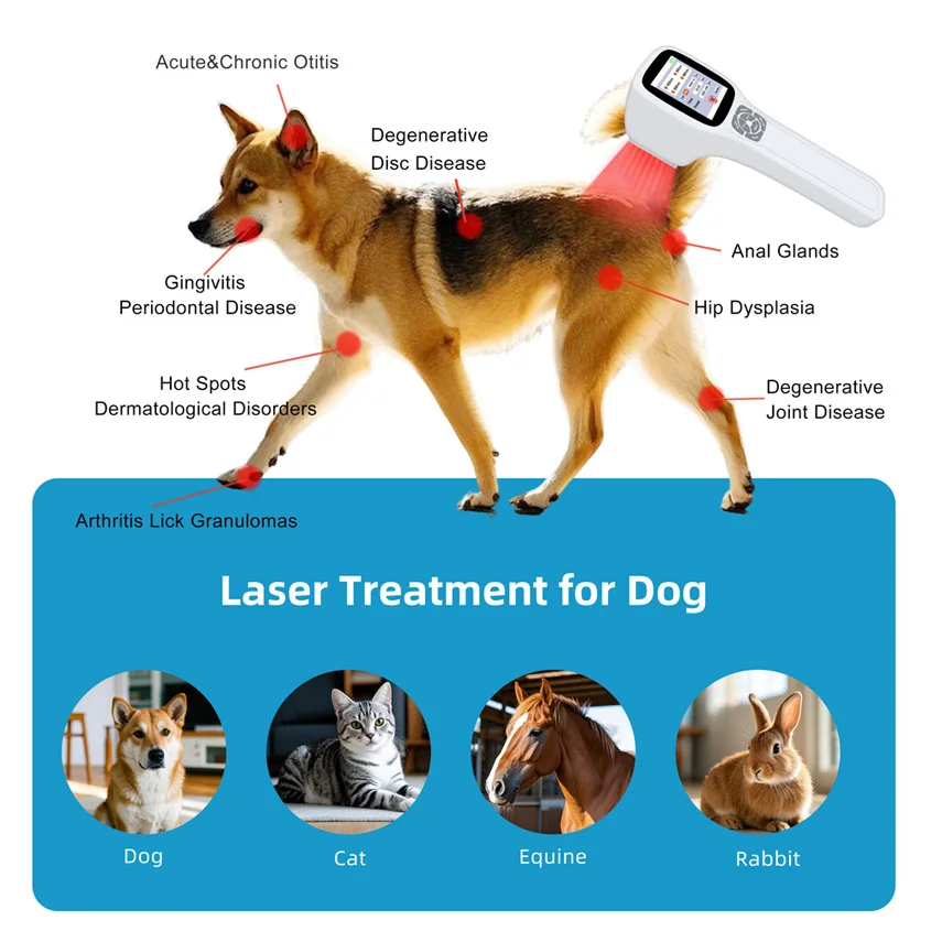 Touchscreen 0-2500mW Low Laser Therapy Cold Laser Device for Pain Relief Shoulder Neck Back Wound Healing 1-10000Hz Adjust