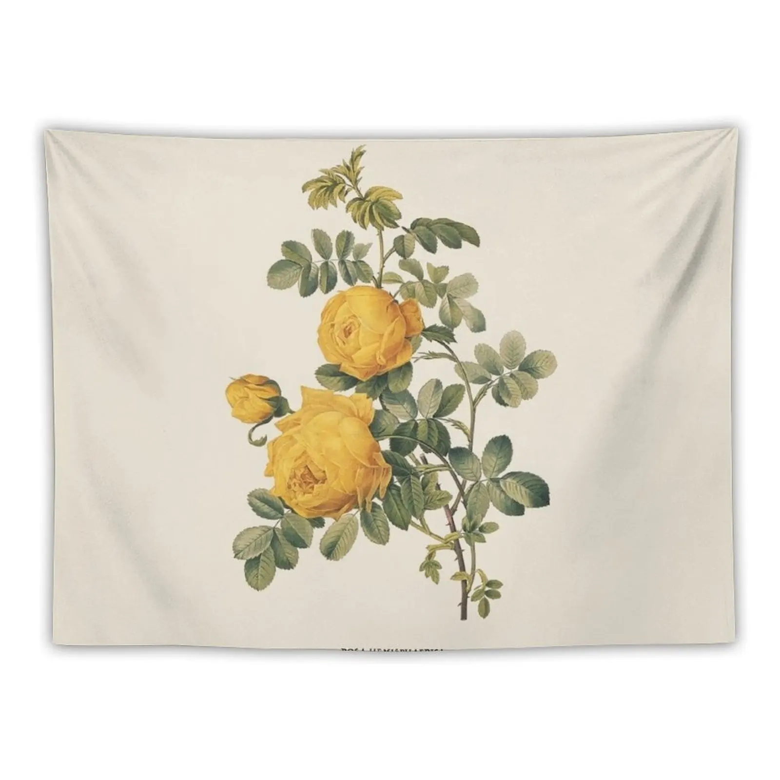

Yellow Rose Antique Botanical Illustration Tapestry Room Decor Cute Bedroom Deco Decoration Aesthetic Wall Decorations Tapestry