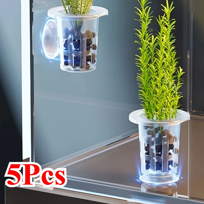 #14 Best Decorative Aquarium Plants to Buy In 2026