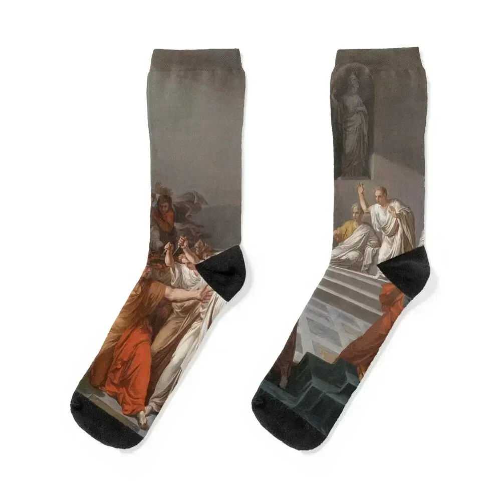

Gaius Julius Caesar. Socks funny gifts winter christmas stocking Socks For Women Men's