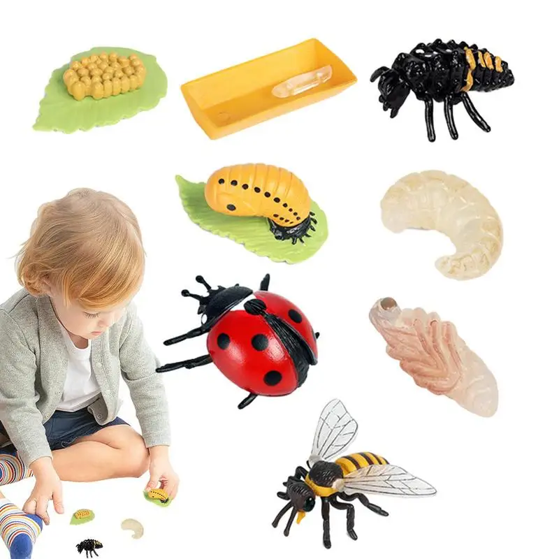 Biology Science Education Toys Life Cycle Figures Toys Realistic Ladybug And Bee Life Cycle Kit Ladybug Toys Farm Animal Growth